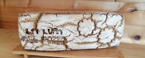 pane saraceno 100 pane saraceno 100